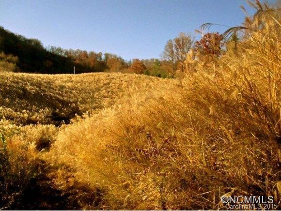 28 Sissy's Cove Road - Photo 11