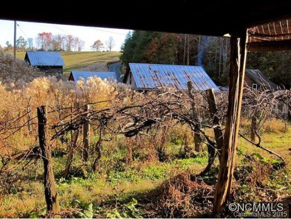 28 Sissy's Cove Road - Photo 12