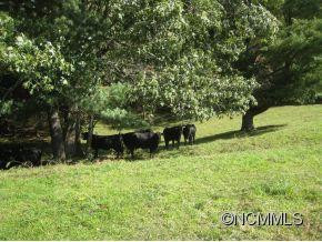 660 Tom Rogers Road - Photo 12