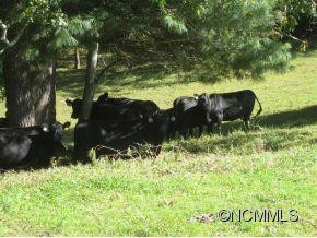 660 Tom Rogers Road - Photo 6