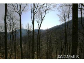 215 Goldenleaf - Photo 2