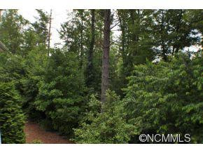 241 Triple Creek Dr. - Photo 12