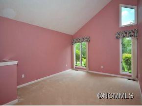 317 MOUNTAIN VALLEY DRIVE - Photo 3