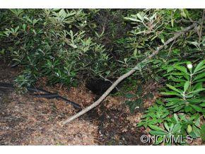 36 Belle Flower Circle - Photo 7