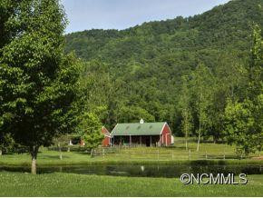 800 CANE CREEK ROAD - Photo 19