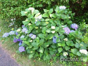 15 Woodcrest Road - Photo 23