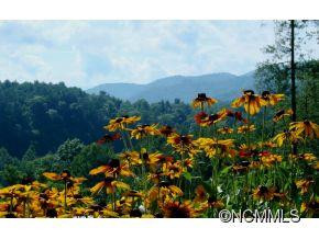 50 Robert Allman Road - Photo 2