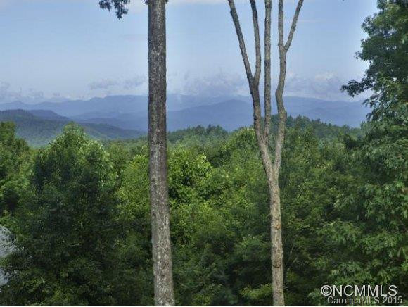 57 OLD HICKORY TRAIL - Photo 2