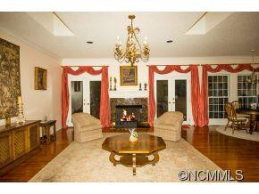 117 JENNY LIND DRIVE - Photo 4