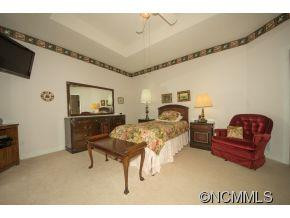 117 JENNY LIND DRIVE - Photo 9