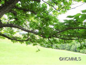 4 Gudger Chapel Road - Photo 18