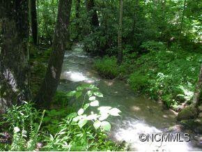 262 JOHNSON BRANCH ROAD - Photo 16