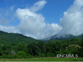262 JOHNSON BRANCH ROAD - Photo 4