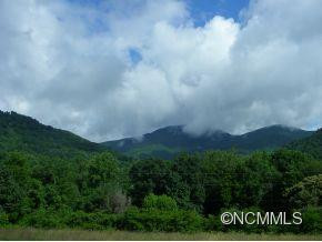 262 JOHNSON BRANCH ROAD - Photo 10