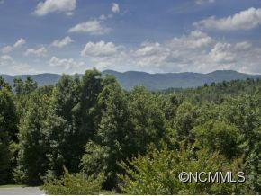 114 LITTLE CHEROKEE RIDGE - Photo 17