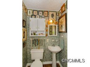 411 Old Haw Creek Road - Photo 17