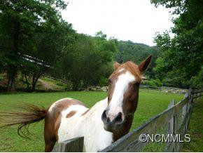 23 CHESTNUT FOREST ROAD - Photo 24