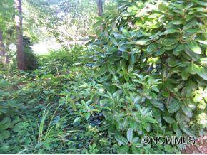 1011 Carousel Lane - Photo 23