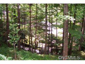 137 TANGLEWOOD - Photo 3