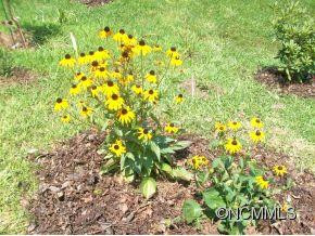 403 Golden Breeze - Photo 21