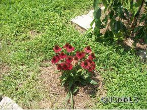 403 Golden Breeze - Photo 22