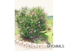 403 Golden Breeze - Photo 24