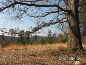 129 Elk Mountain Scenic Highway - Photo 6