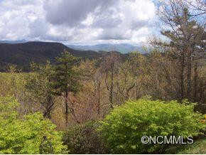 42 Miners Knob - Photo 5