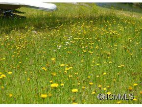 995 Flattop Mountain Rd. - Photo 13