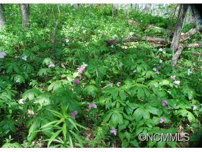 995 Flattop Mountain Rd. - Photo 17