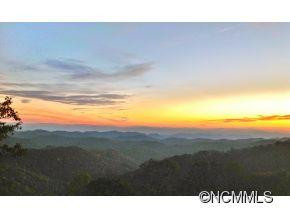 92 Pisgah Pass - Photo 3