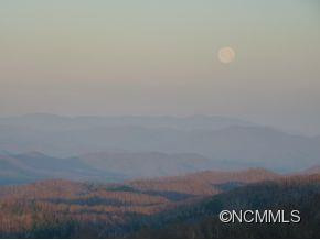 92 Pisgah Pass - Photo 4