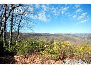 1 Antler Ridge - Photo 17