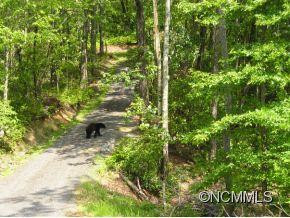 1 Antler Ridge - Photo 21