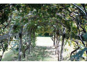 494 CAMP CREEK - Photo 12