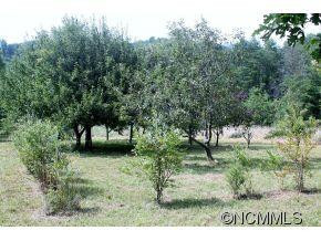 494 CAMP CREEK - Photo 6