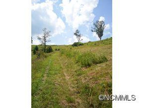 344 Elkins Hollar Dr - Photo 12