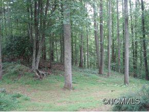229 Volunteer Drive - Photo 6