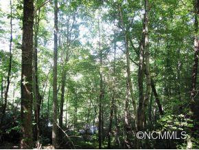 729 Three Mile Knob Rd. - Photo 15