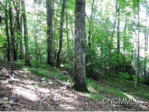 729 Three Mile Knob Rd. - Photo 17