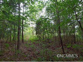 172 Hopewell Rd - Photo 21