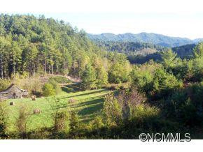 339 Gorenflo Gap Road - Photo 2