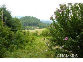 339 Gorenflo Gap Road - Photo 11