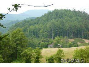 339 Gorenflo Gap Road - Photo 12