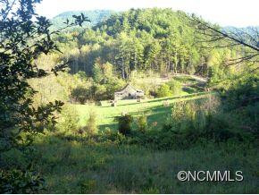 339 Gorenflo Gap Road - Photo 6