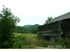 339 Gorenflo Gap Road - Photo 9