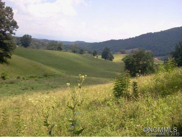 435 NORTH TURKEY CREEK ROAD - Photo 2