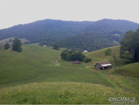 435 NORTH TURKEY CREEK ROAD - Photo 4