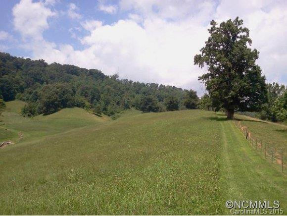 435 NORTH TURKEY CREEK ROAD - Photo 8