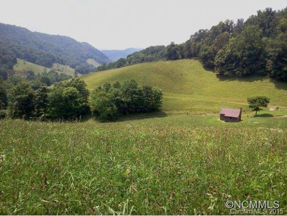 435 NORTH TURKEY CREEK ROAD - Photo 10